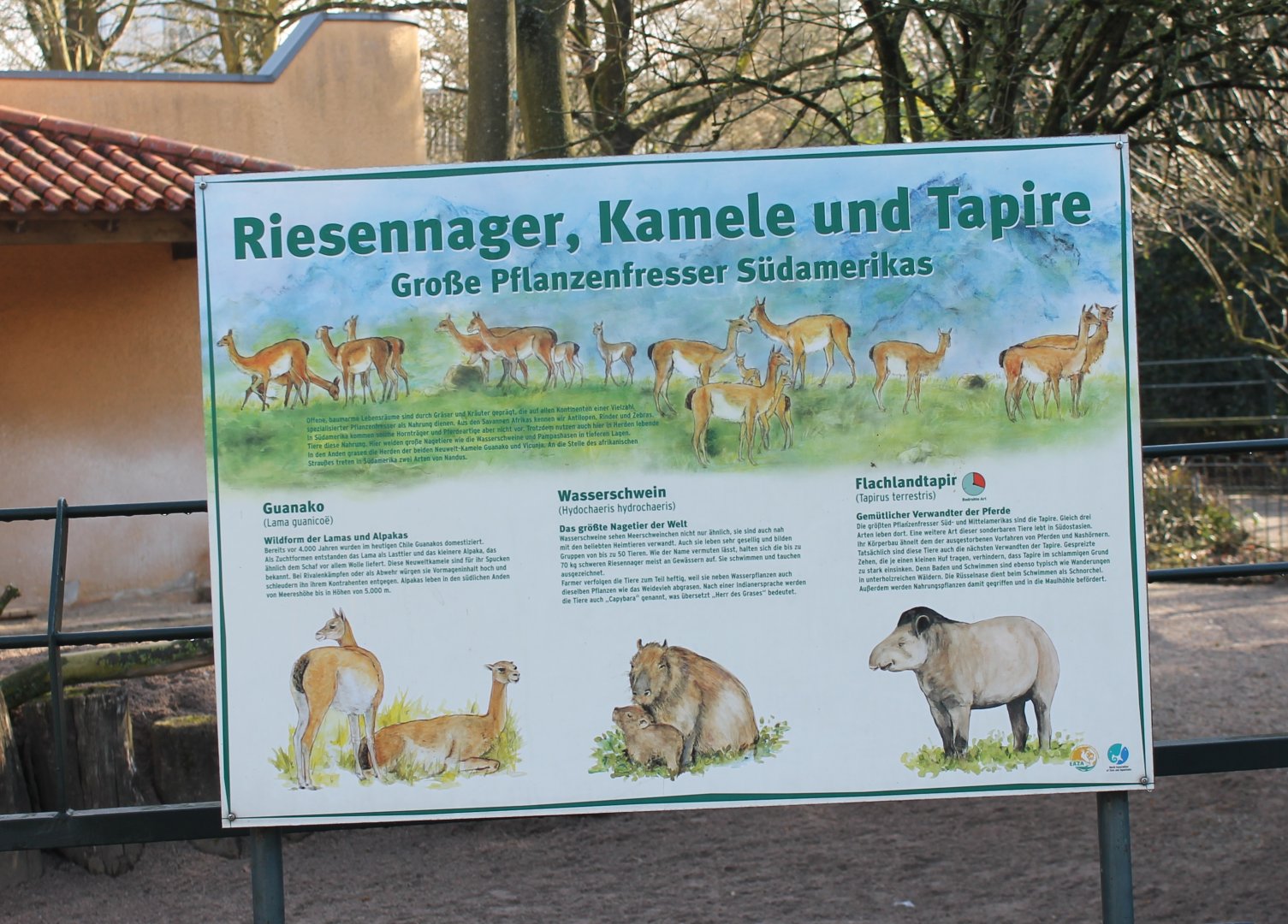 General South American enclosure info