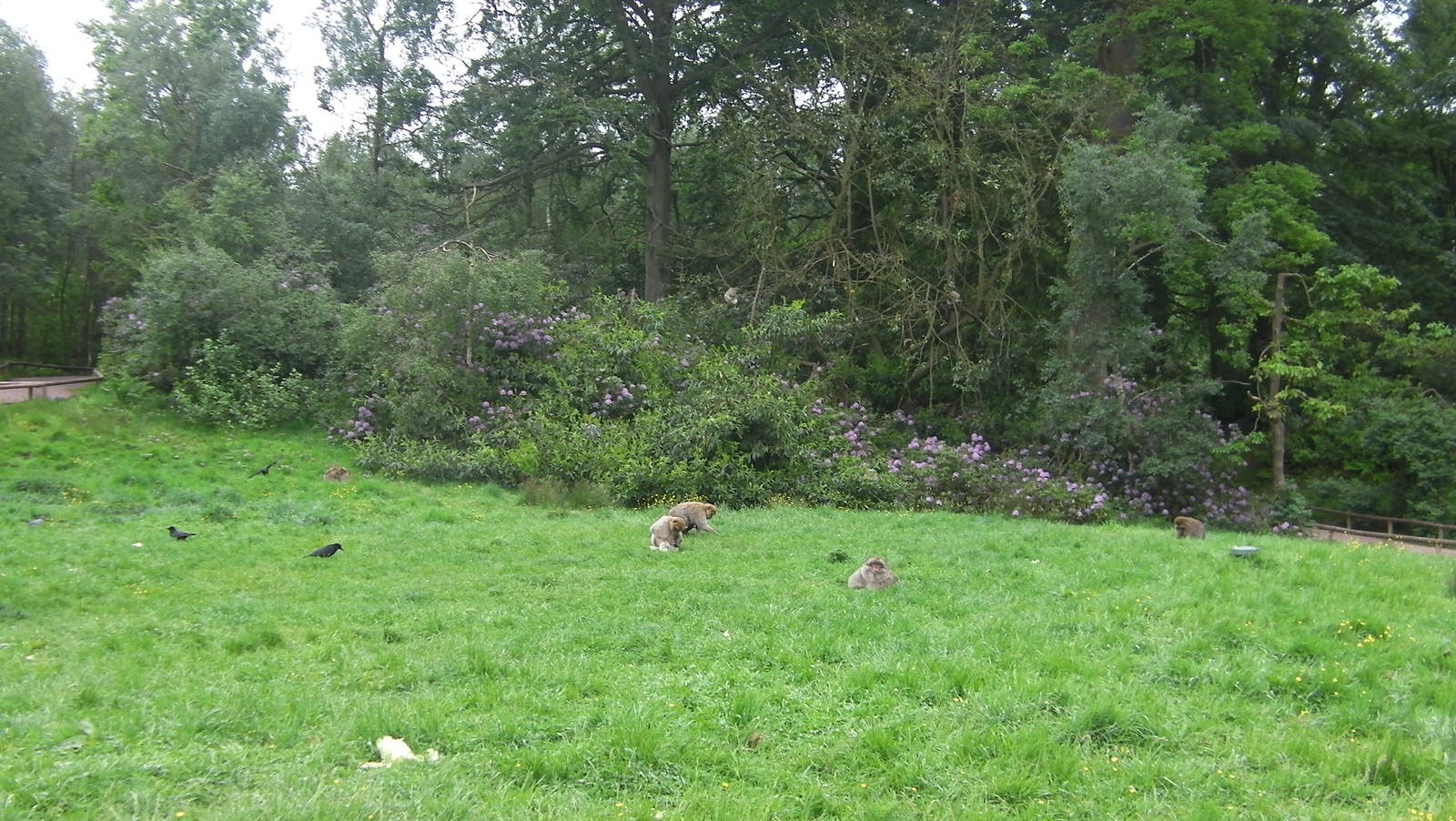 General View - 02.06.2012