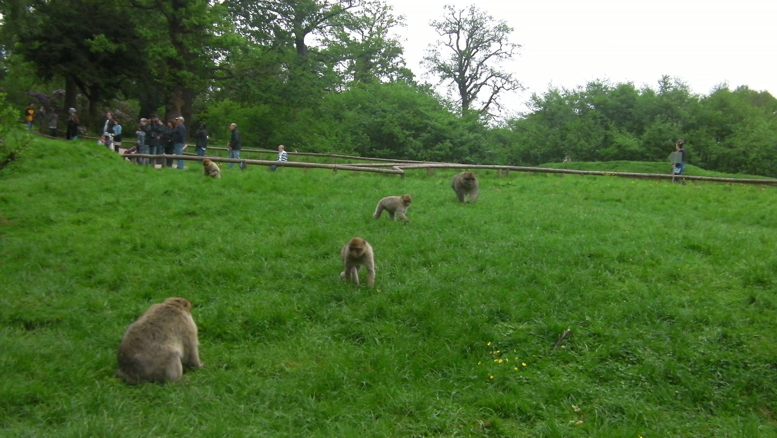 General View - 02.06.2012