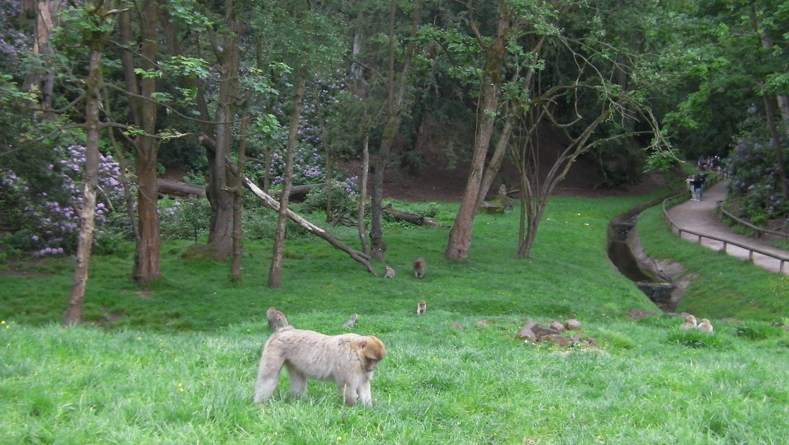 General View - 02.06.2012