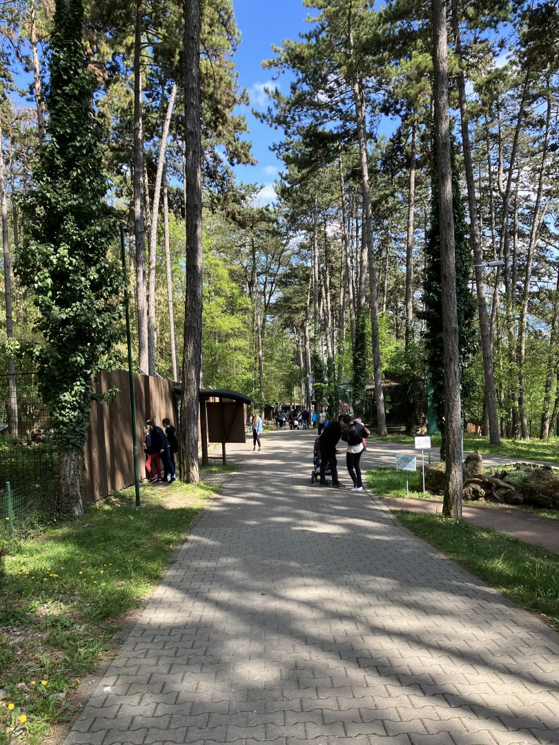 General view-09/2023