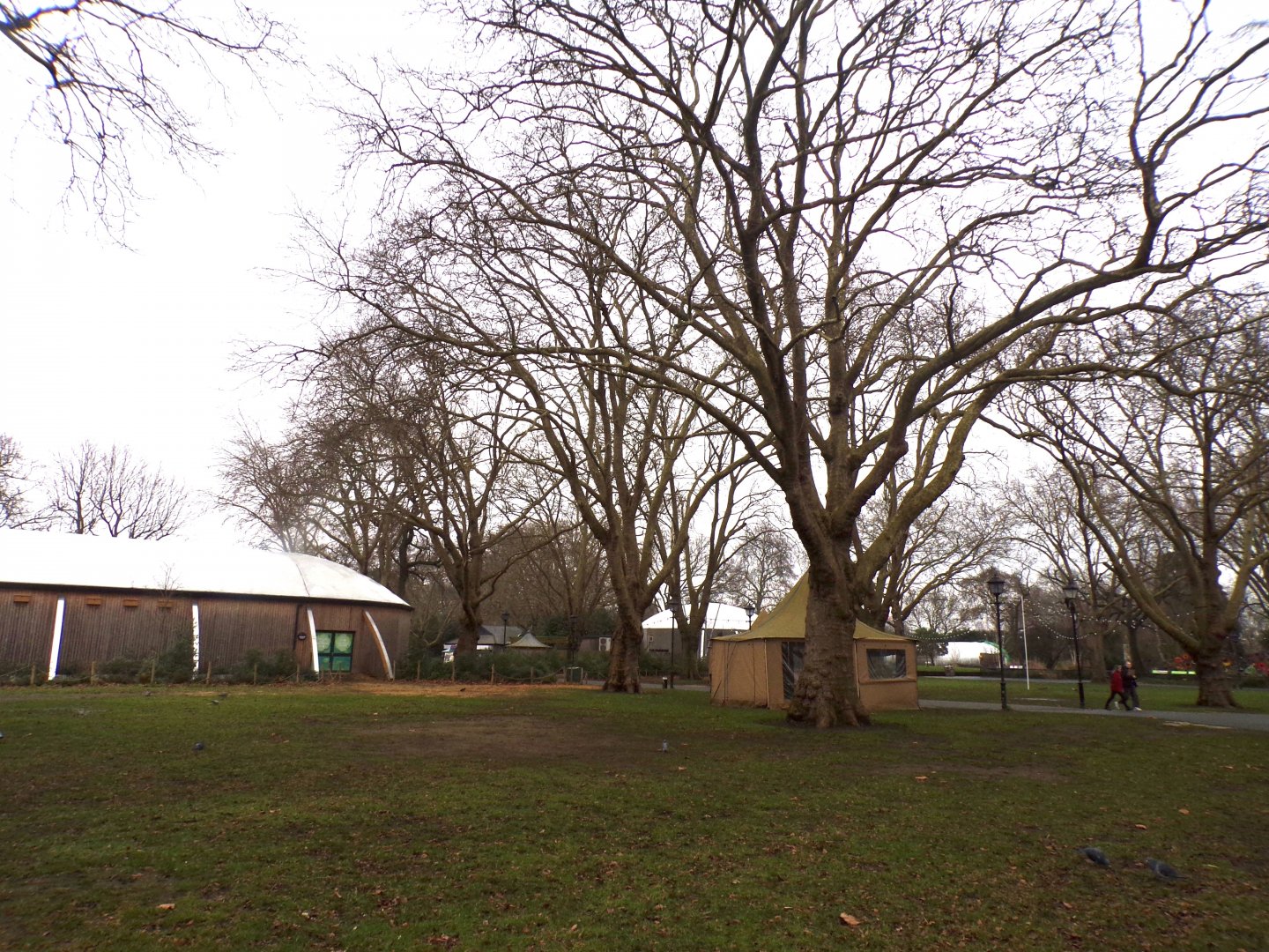 General view 11.2.25