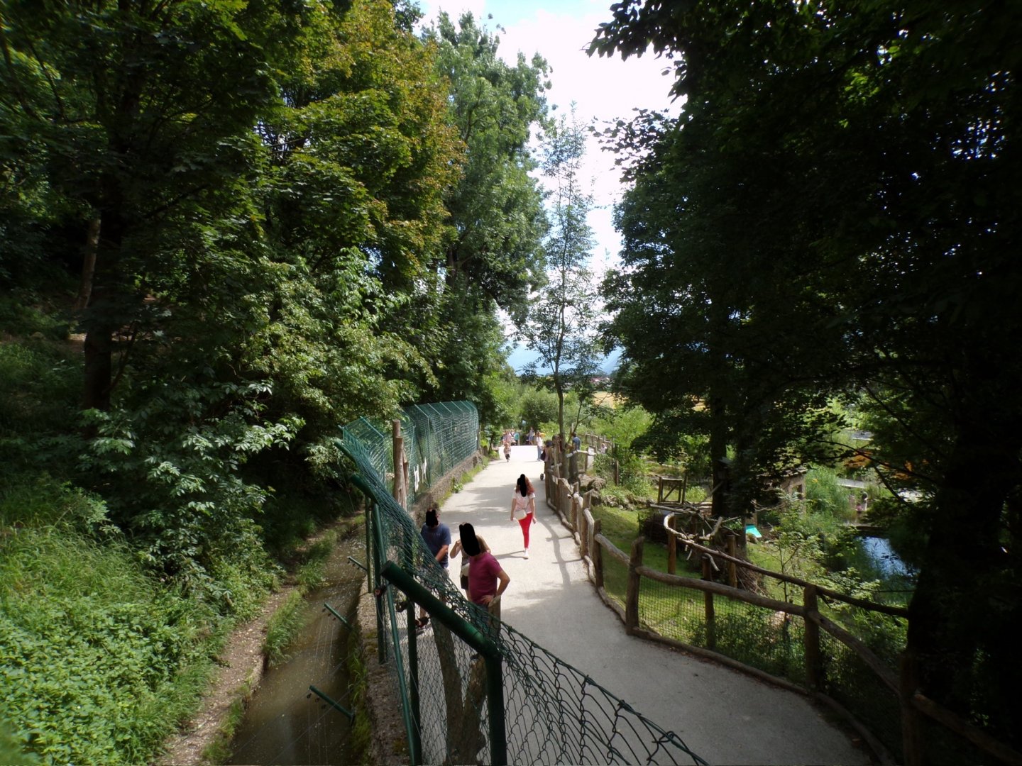 General view 13.7.25