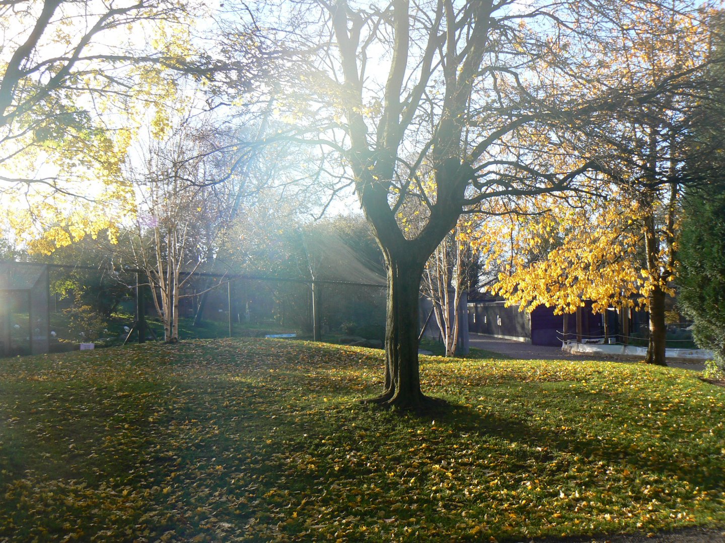 General view - 13 November 2018