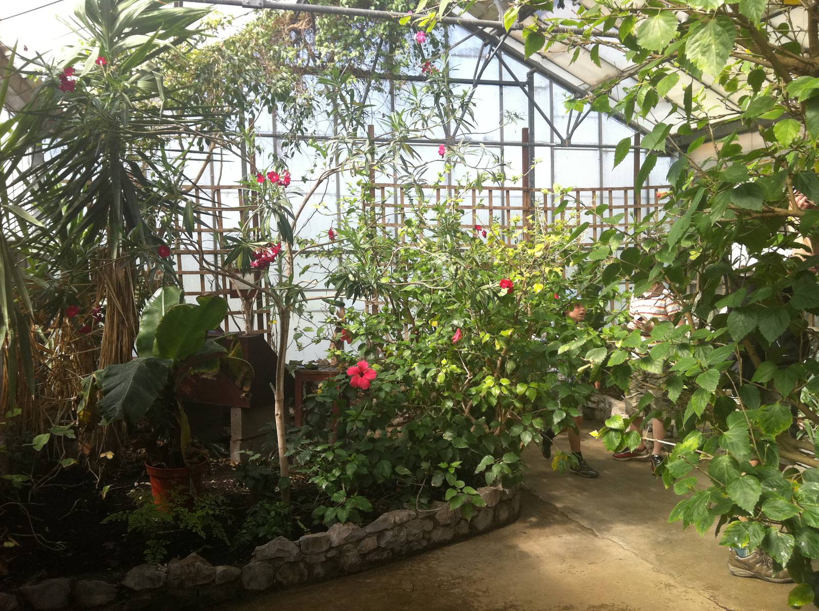 General View - 24th April 2011