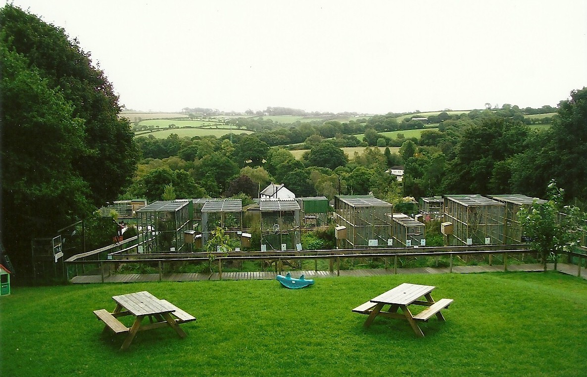 General view 5th September 2011