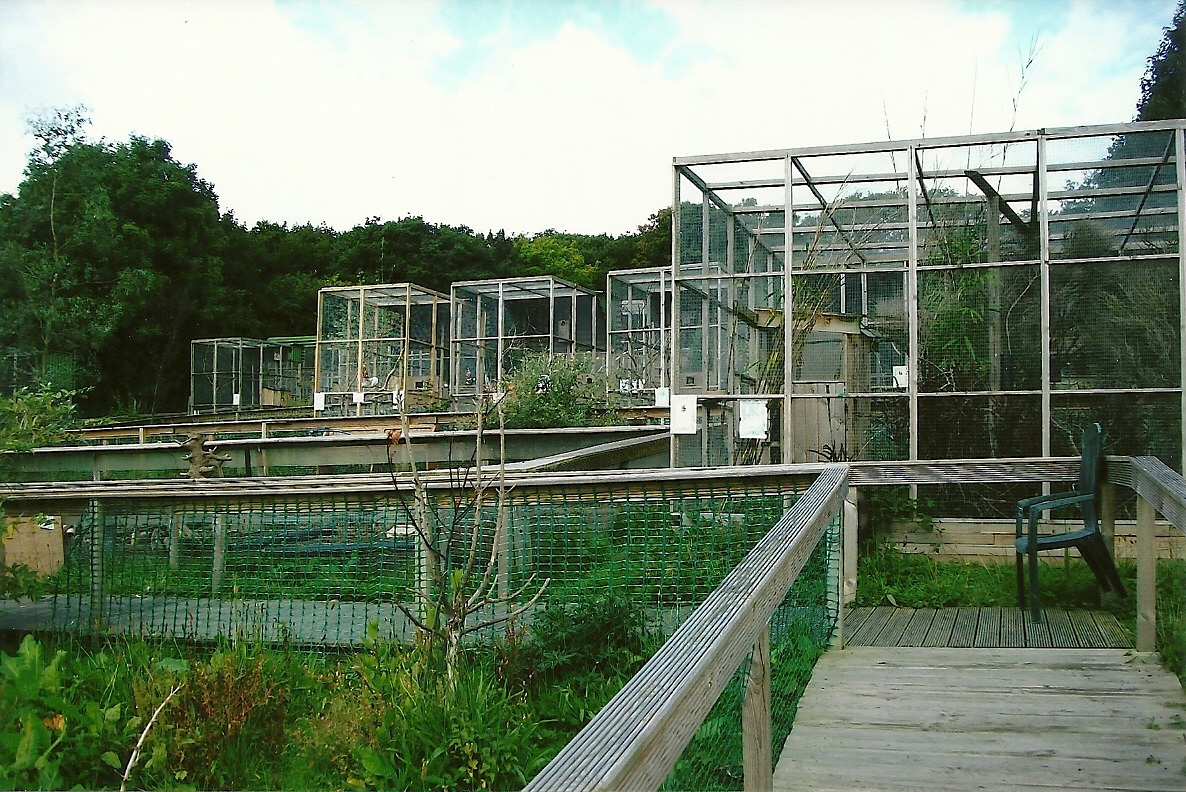 General view 5th September 2011