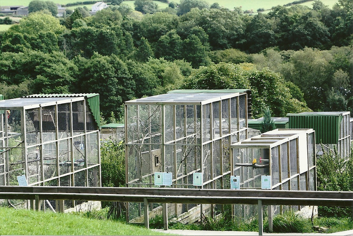 General view 5th September 2011