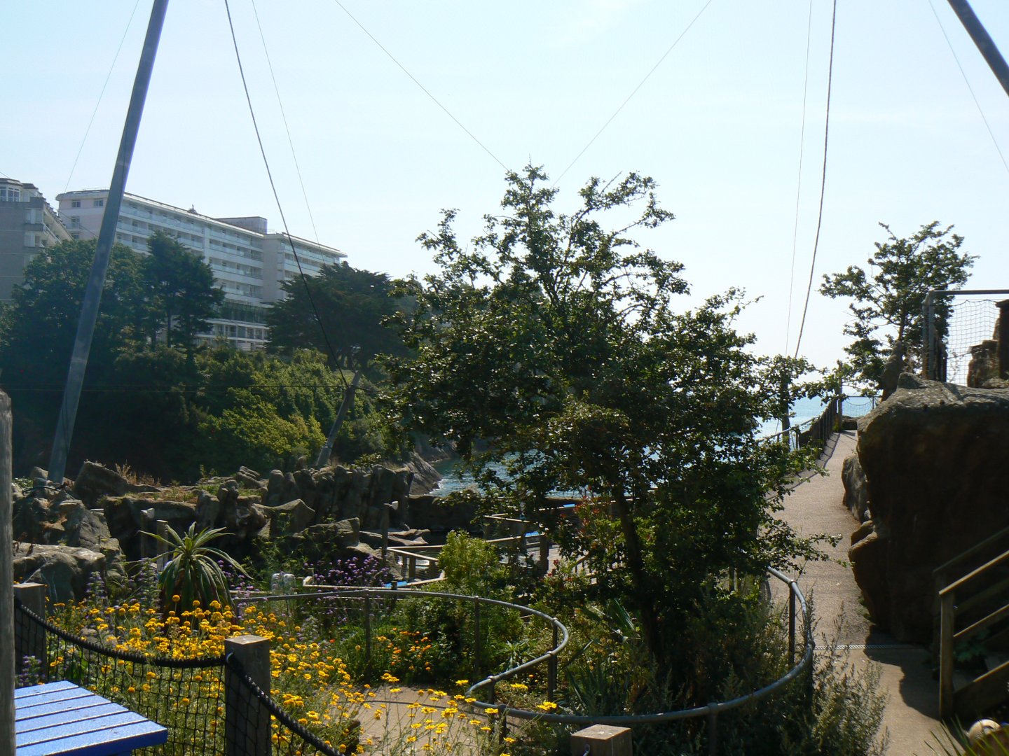 General View - 6 July 2018