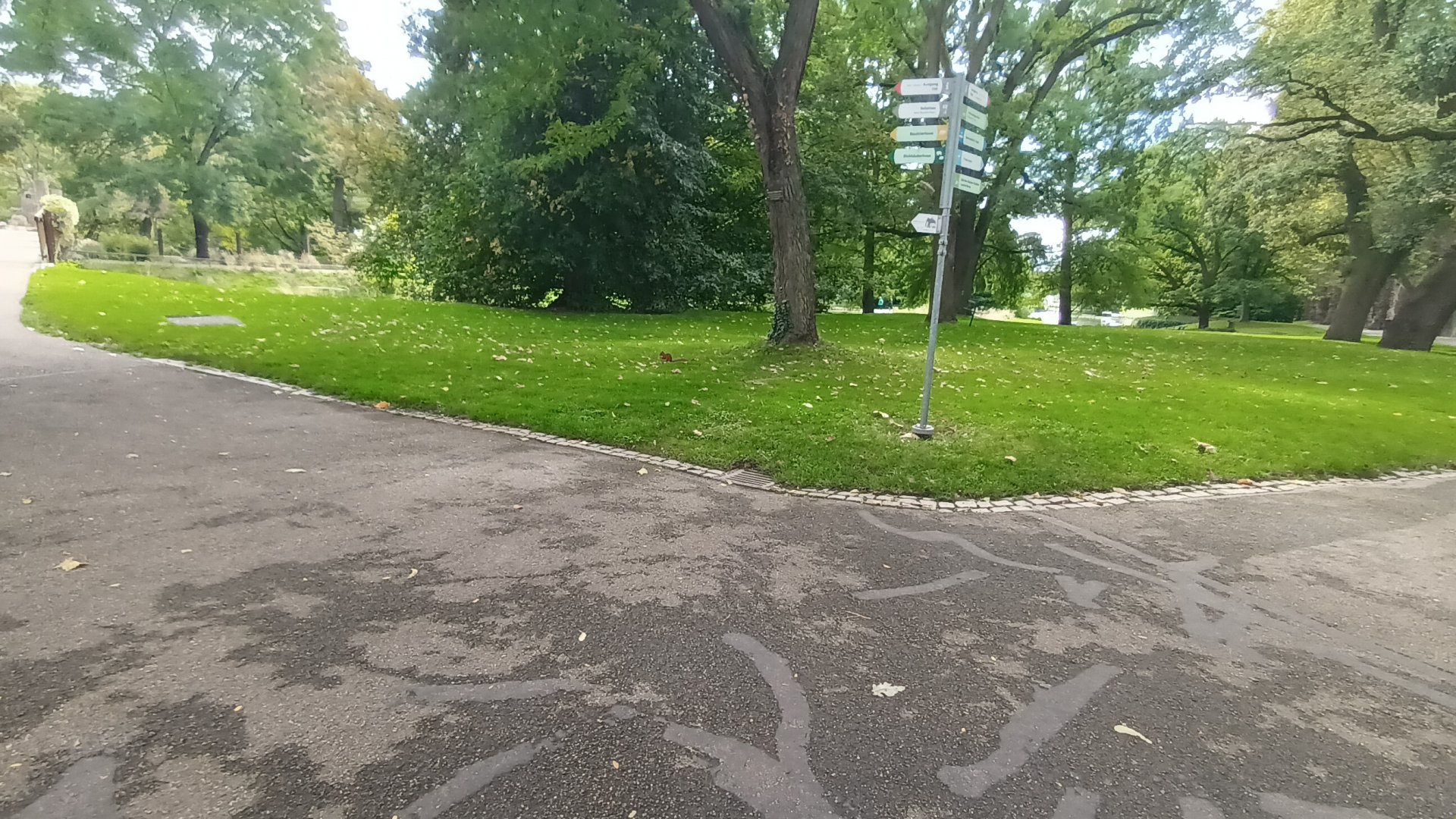 General View and wild European red Squirrel