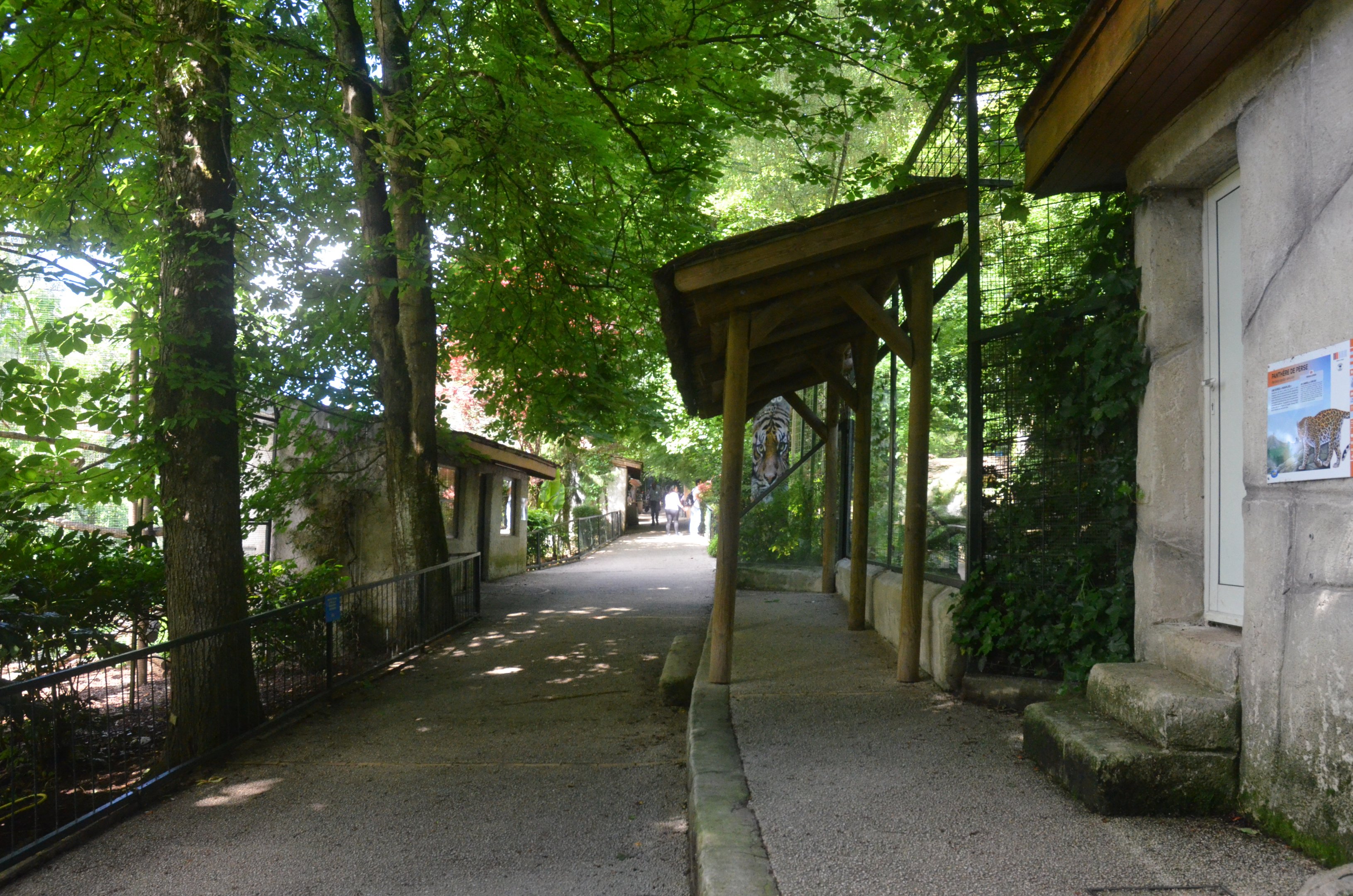 General View at Beauval, 12/06/18