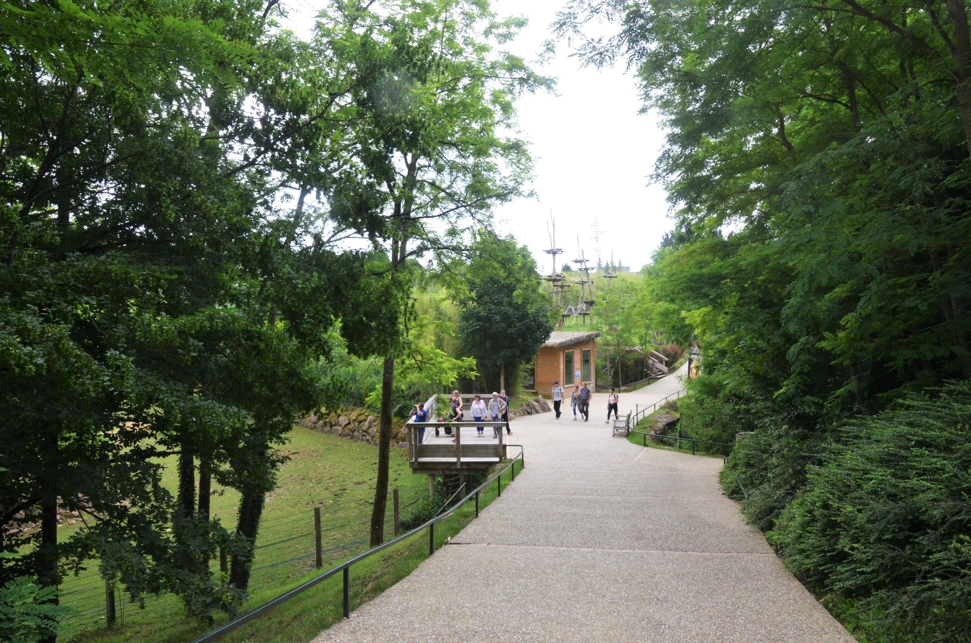 General View at Beauval, 12/06/18