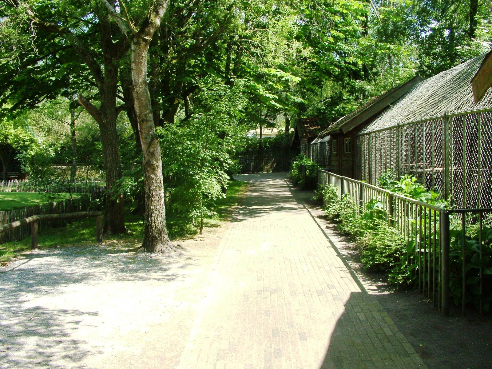 General View at Best, 02/06/12