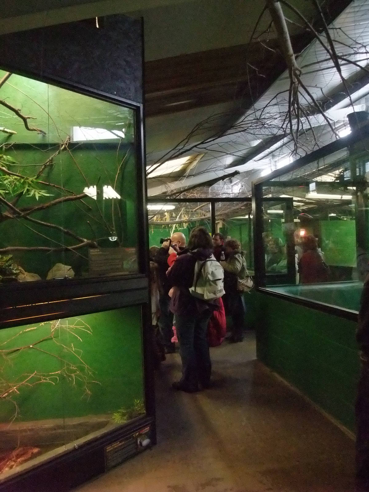 General View at Crocodiles of the World, 05/02/12