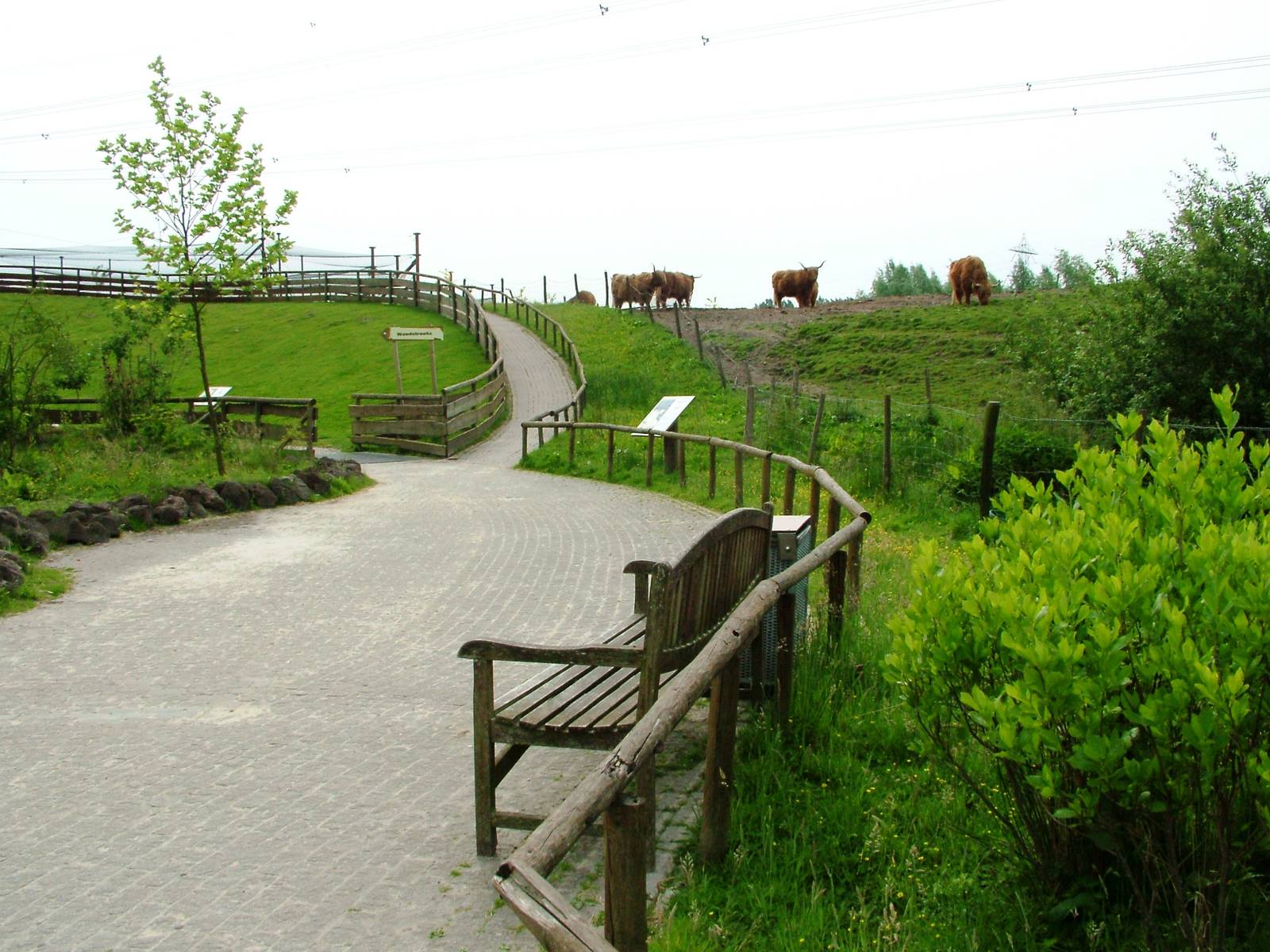 General View at Dierenrijk, 31/05/12