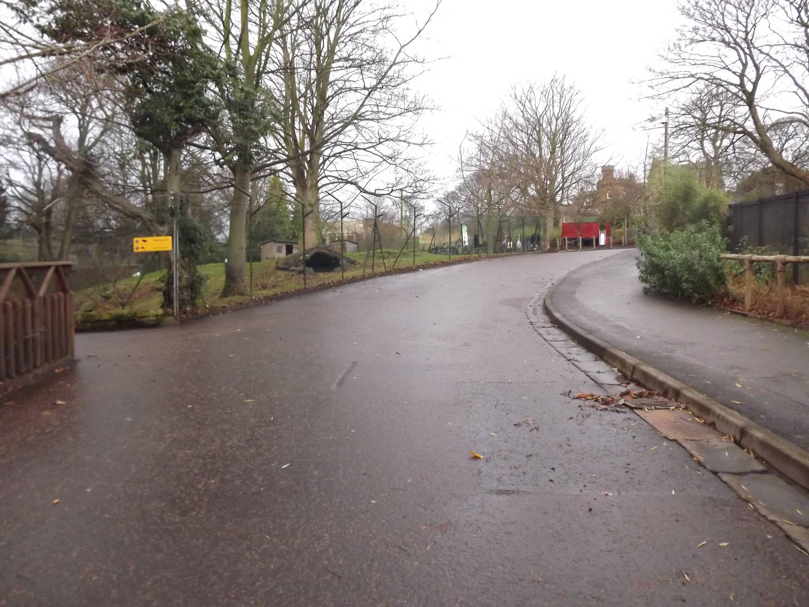 General view at Edinburgh Zoo 28/12/11