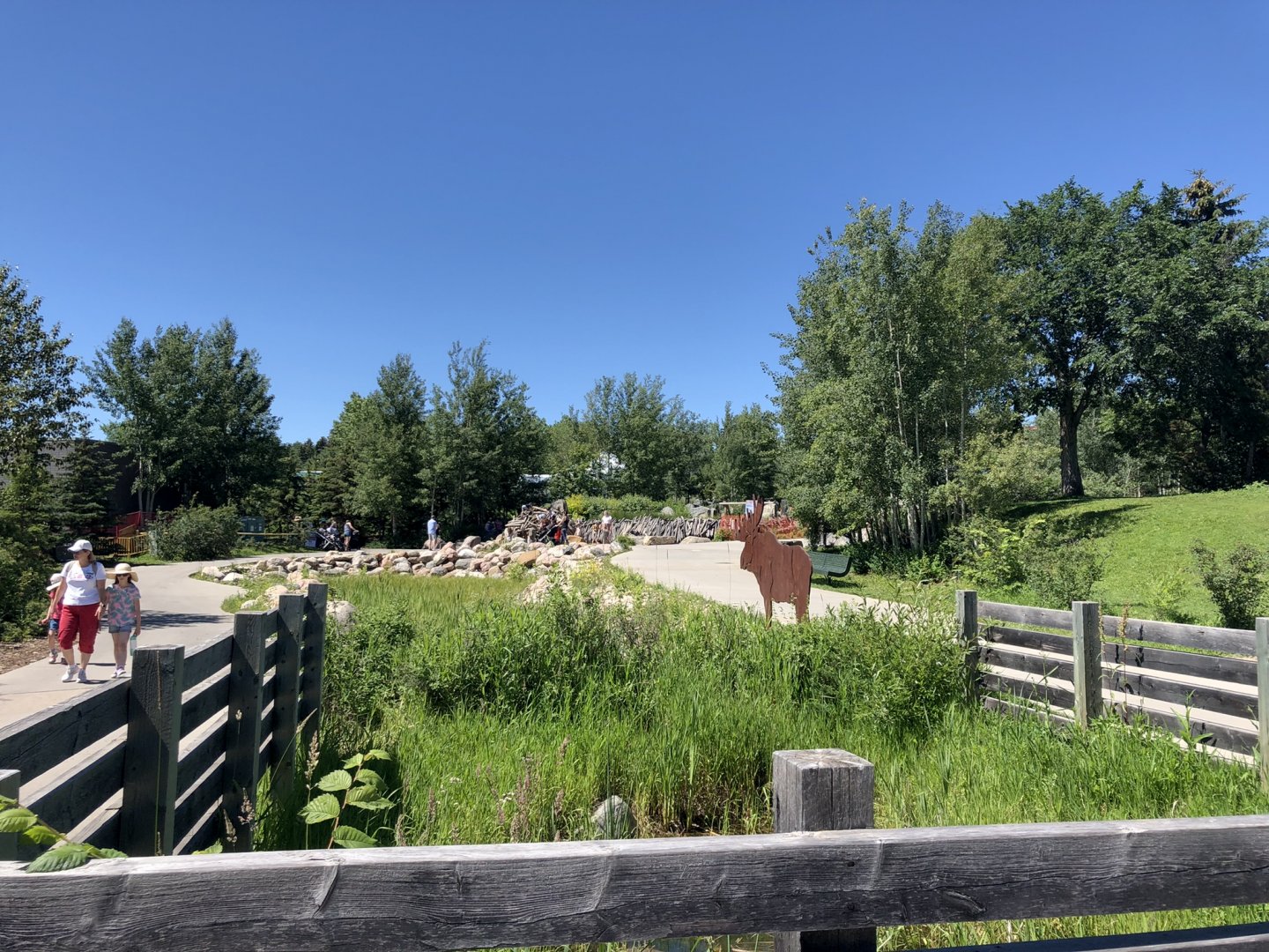 General View at Edmonton Valley Zoo (July 2022)