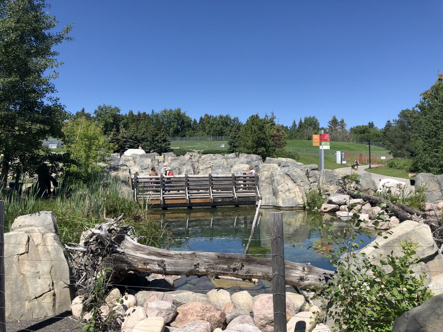 General View at Edmonton Valley Zoo (July 2022)