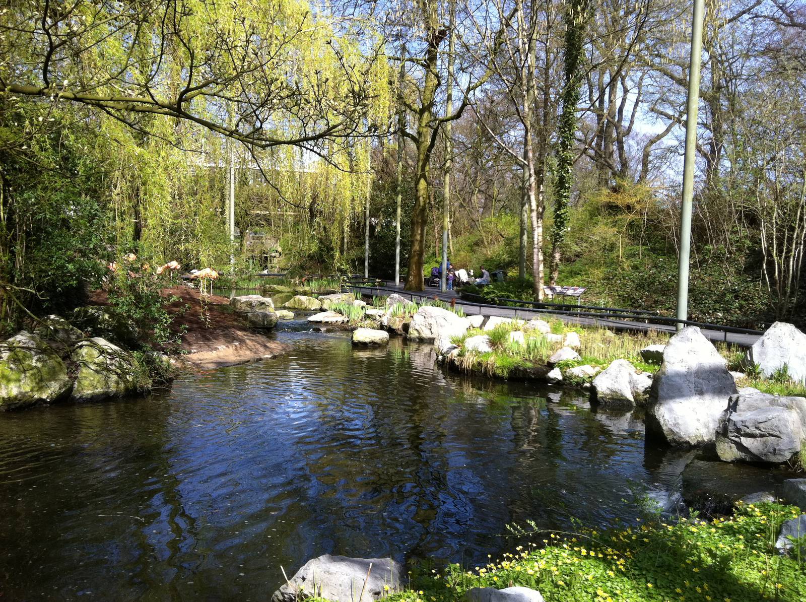 General View at Emmen Zoo - April 2011