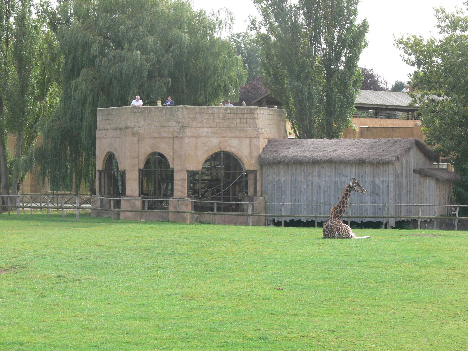 General view at Flamingo Land, 21/09/13