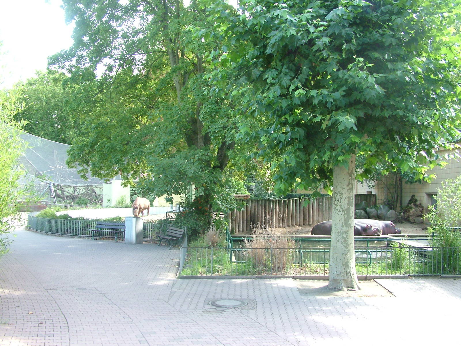 General View at Frankfurt 31/08/10