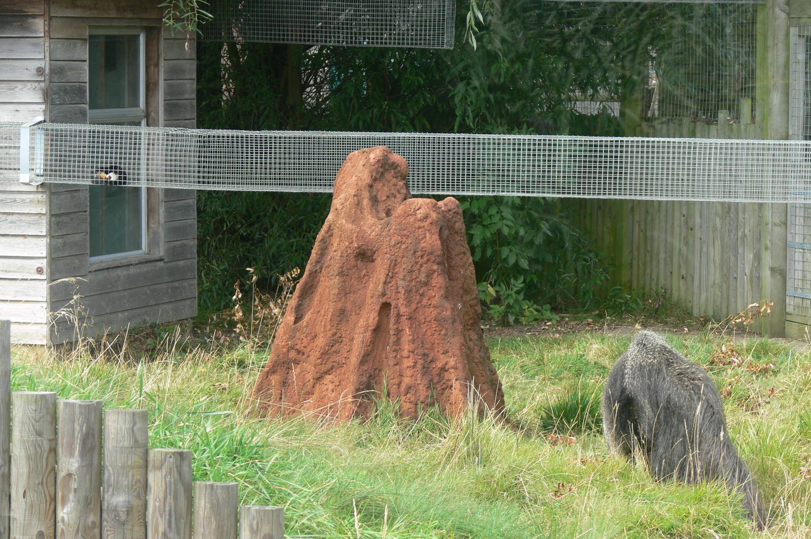 General View at Hamerton Zoo, 23/08/14