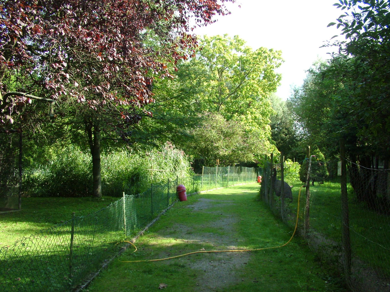 General View at Heppenheim, 05/09/10