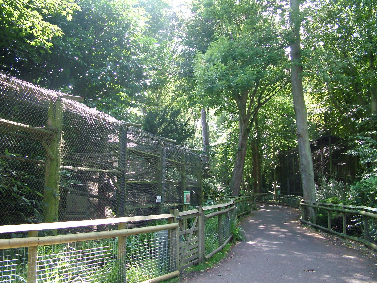 General view at Howletts, 31/07/10