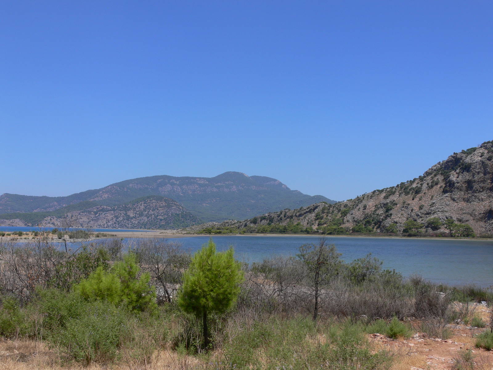 General view at IBCCTRC, 26/07/13