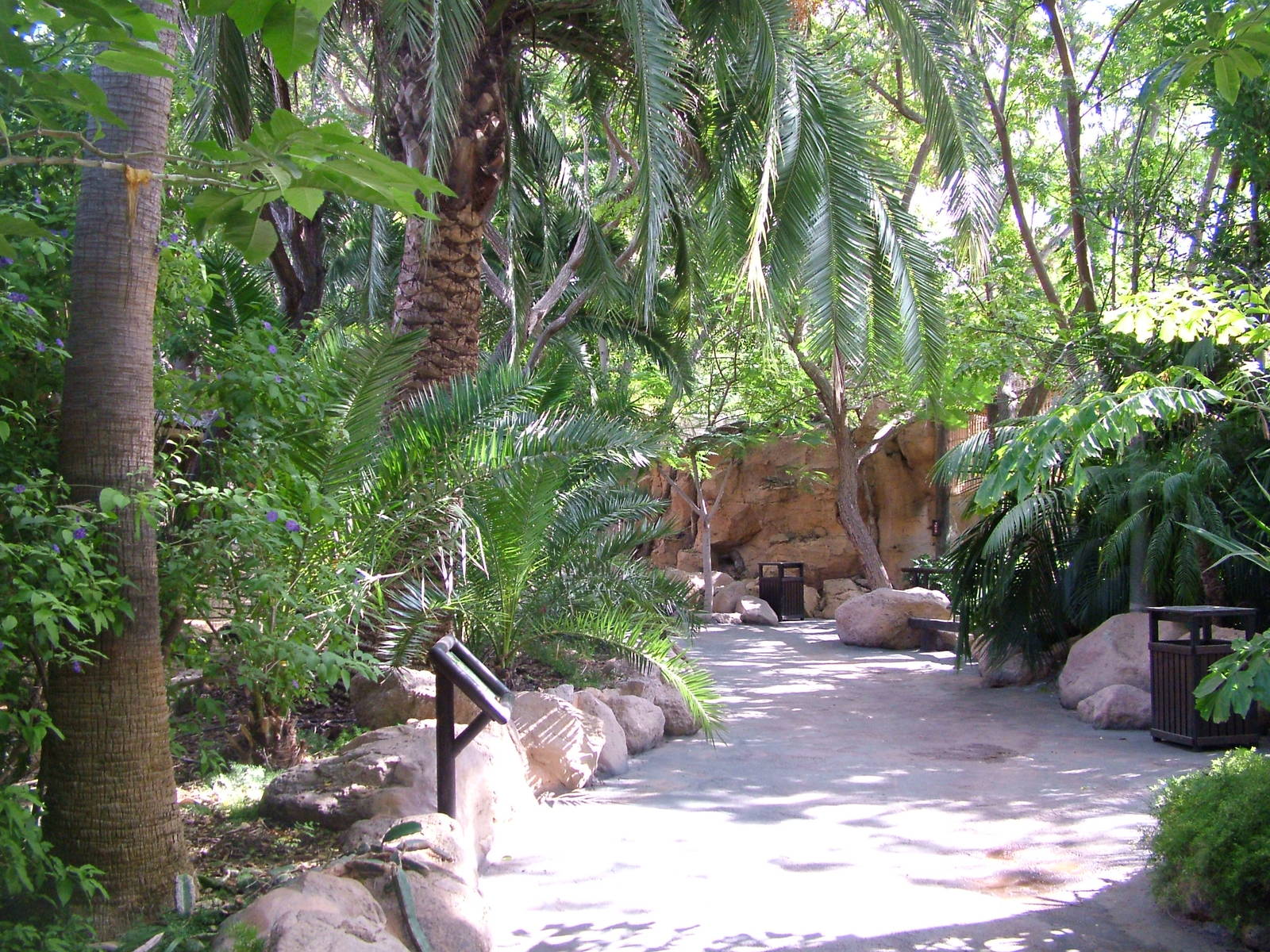 General View at Jungle Park (Las Aguilas), 13/11/10