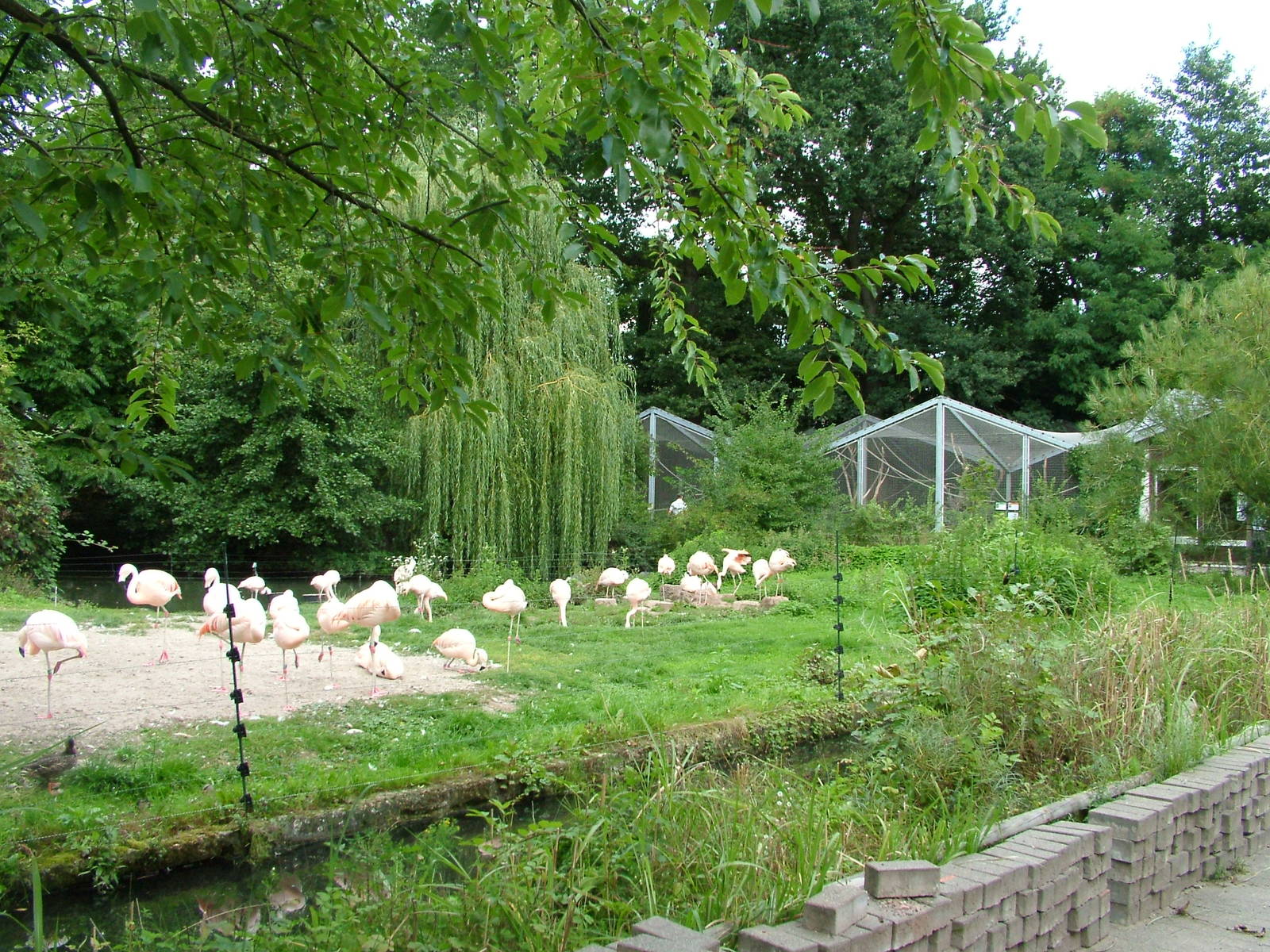 General View at Landau Zoo, 04/09/10