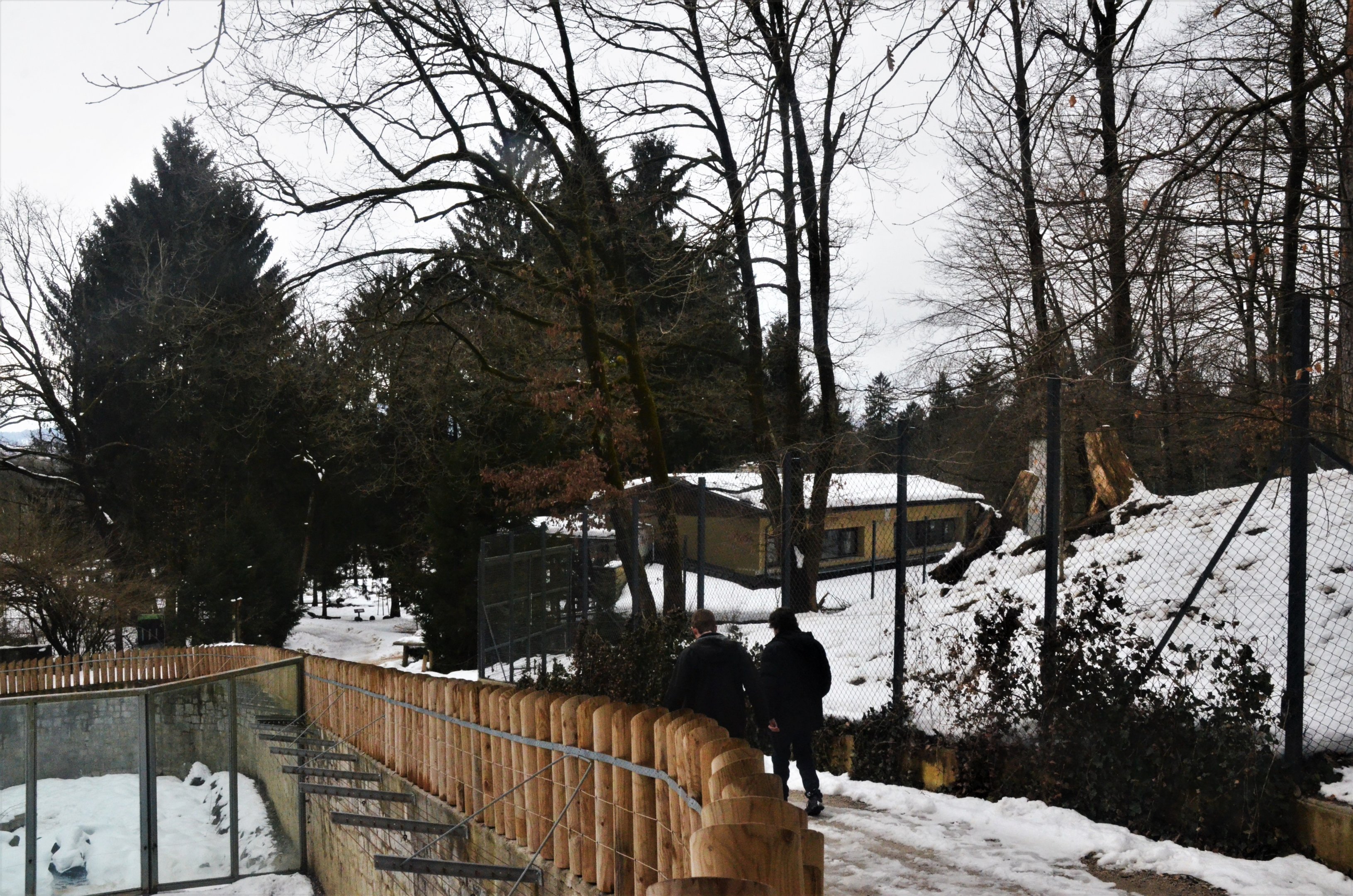 General View at Ljubljana Zoo, 07/03/18