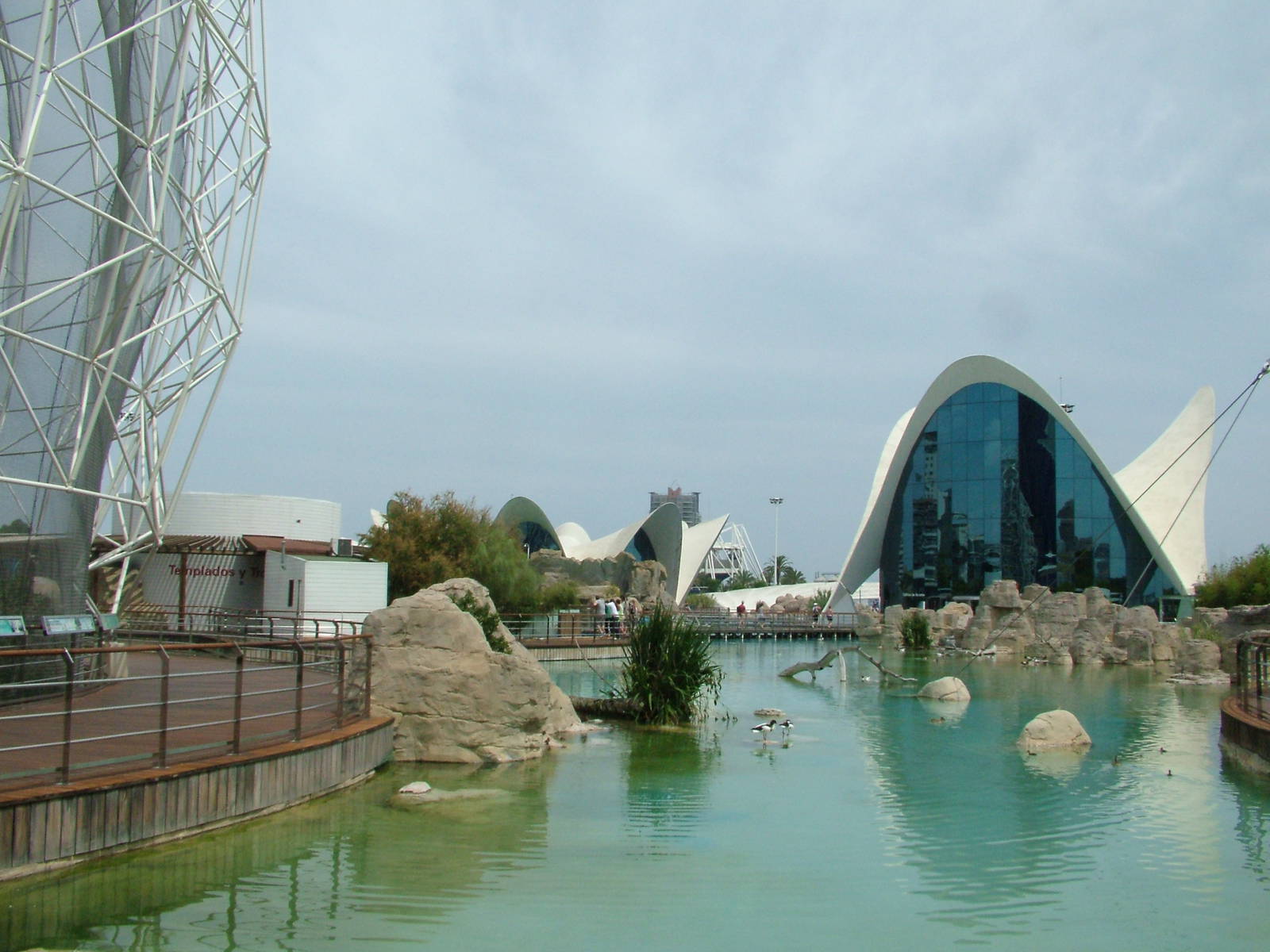 General View at Oceanografic, 29/05/11