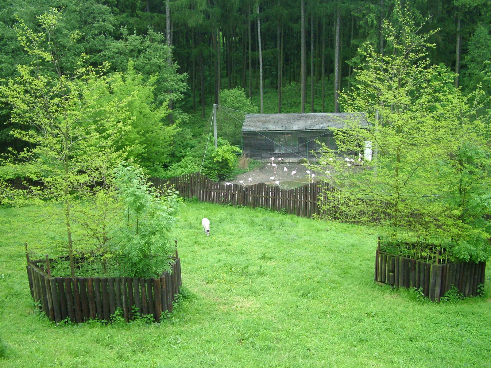 General View at Olomouc 30/05/09