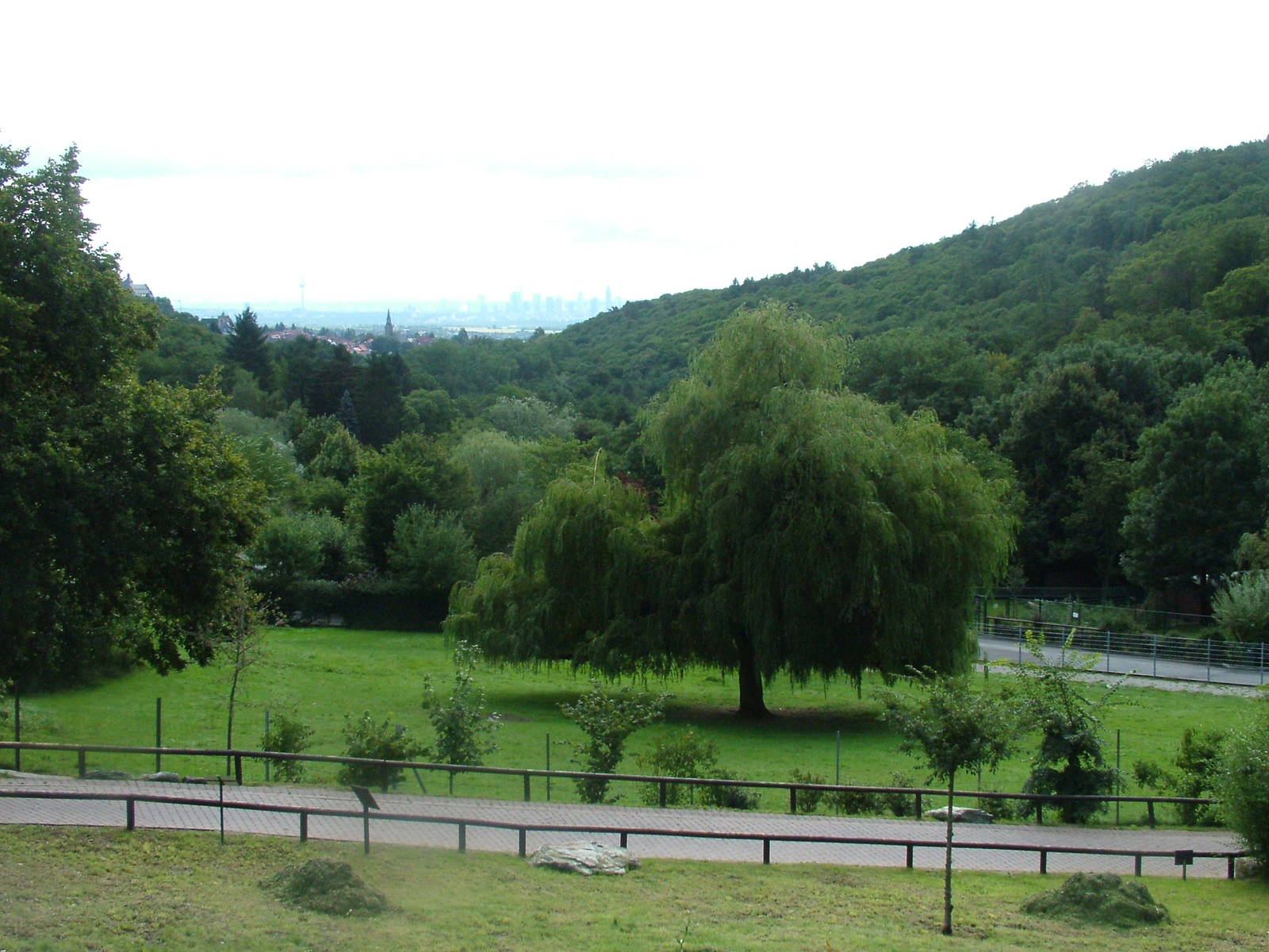 General View at Opel-Zoo Kronberg, 30/08/10
