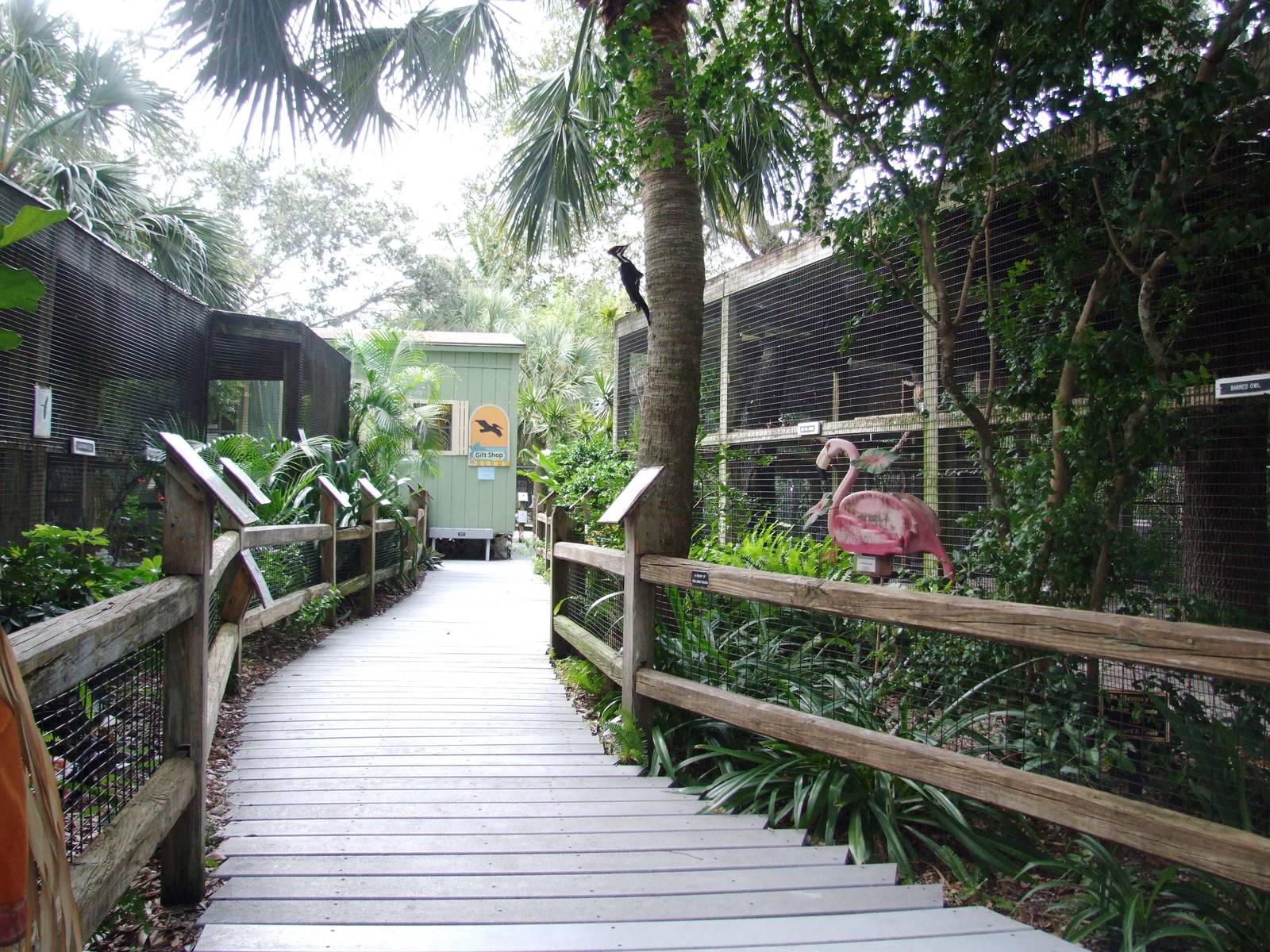 General View at Peace River Wildlife Centre, 09/10/13