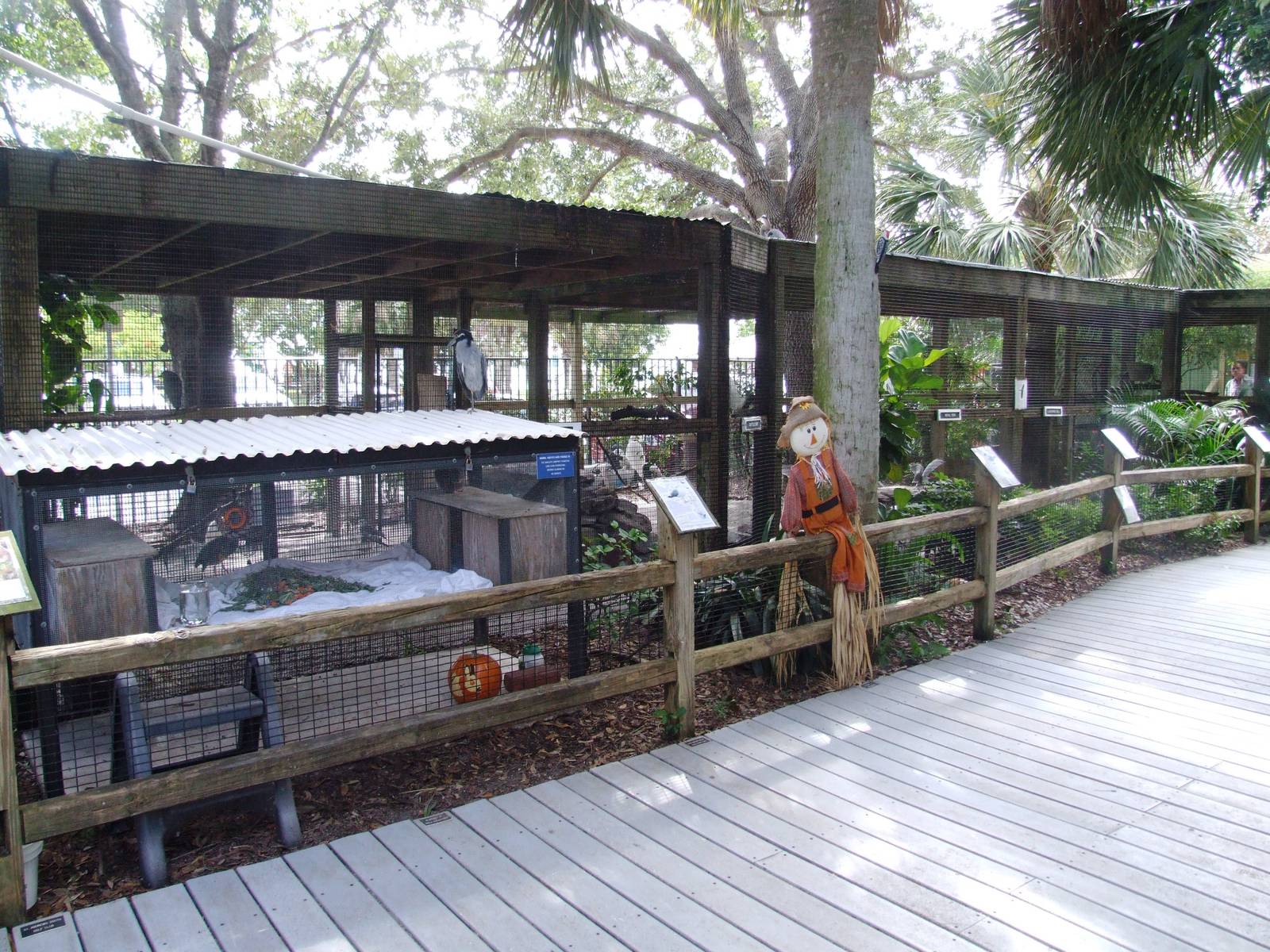 General View at Peace River Wildlife Centre, 09/10/13