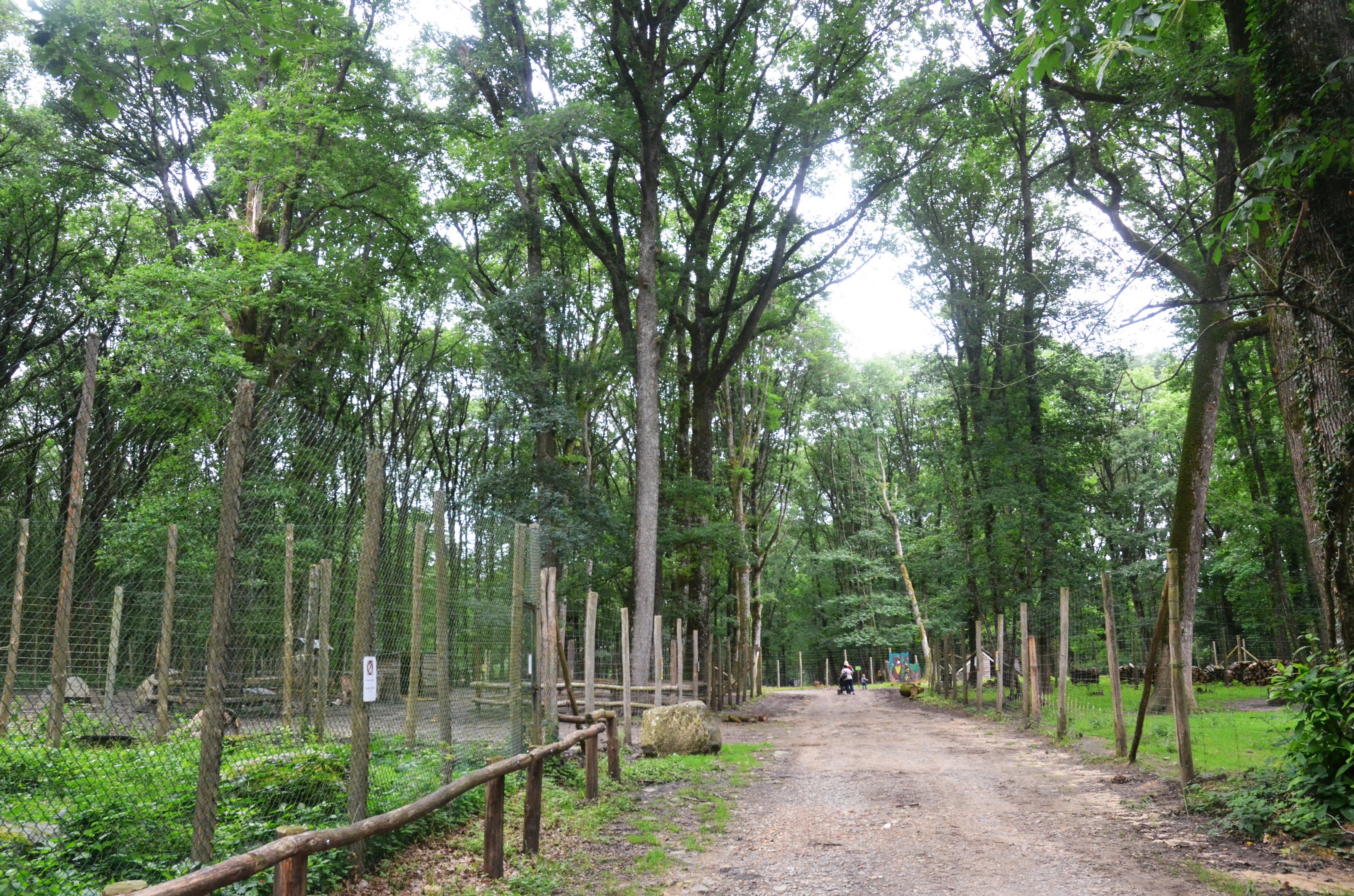 General View at Pescheray, 13/06/18