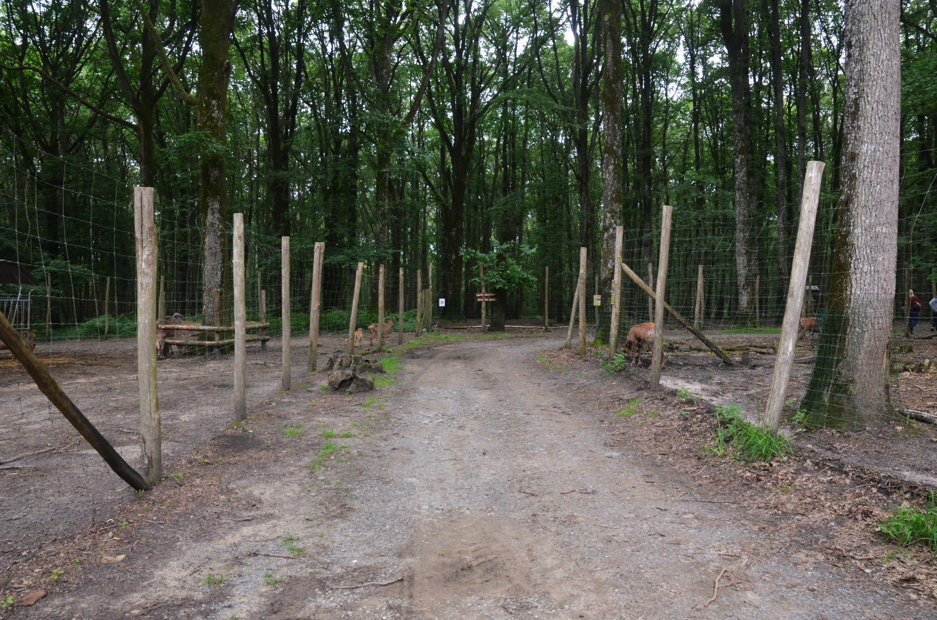General View at Pescheray, 13/06/18