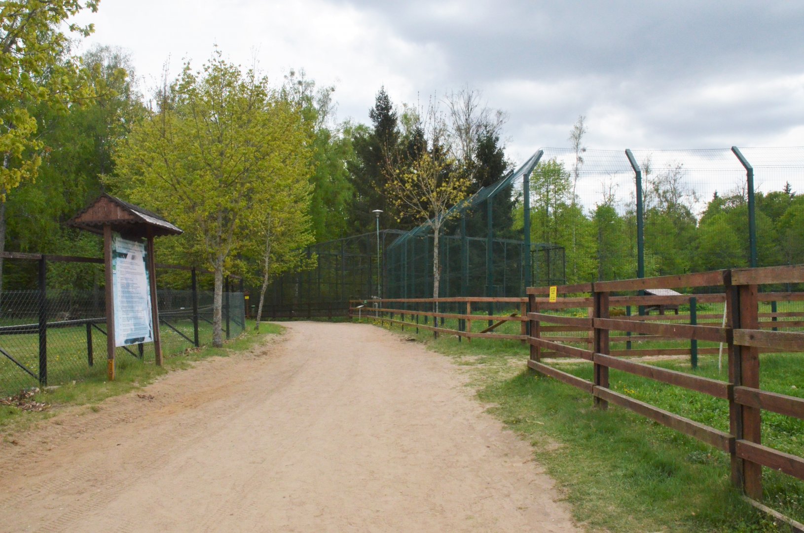 General View at Rezerwat Pokazowy Żubrów, Białowieża 07/05/19