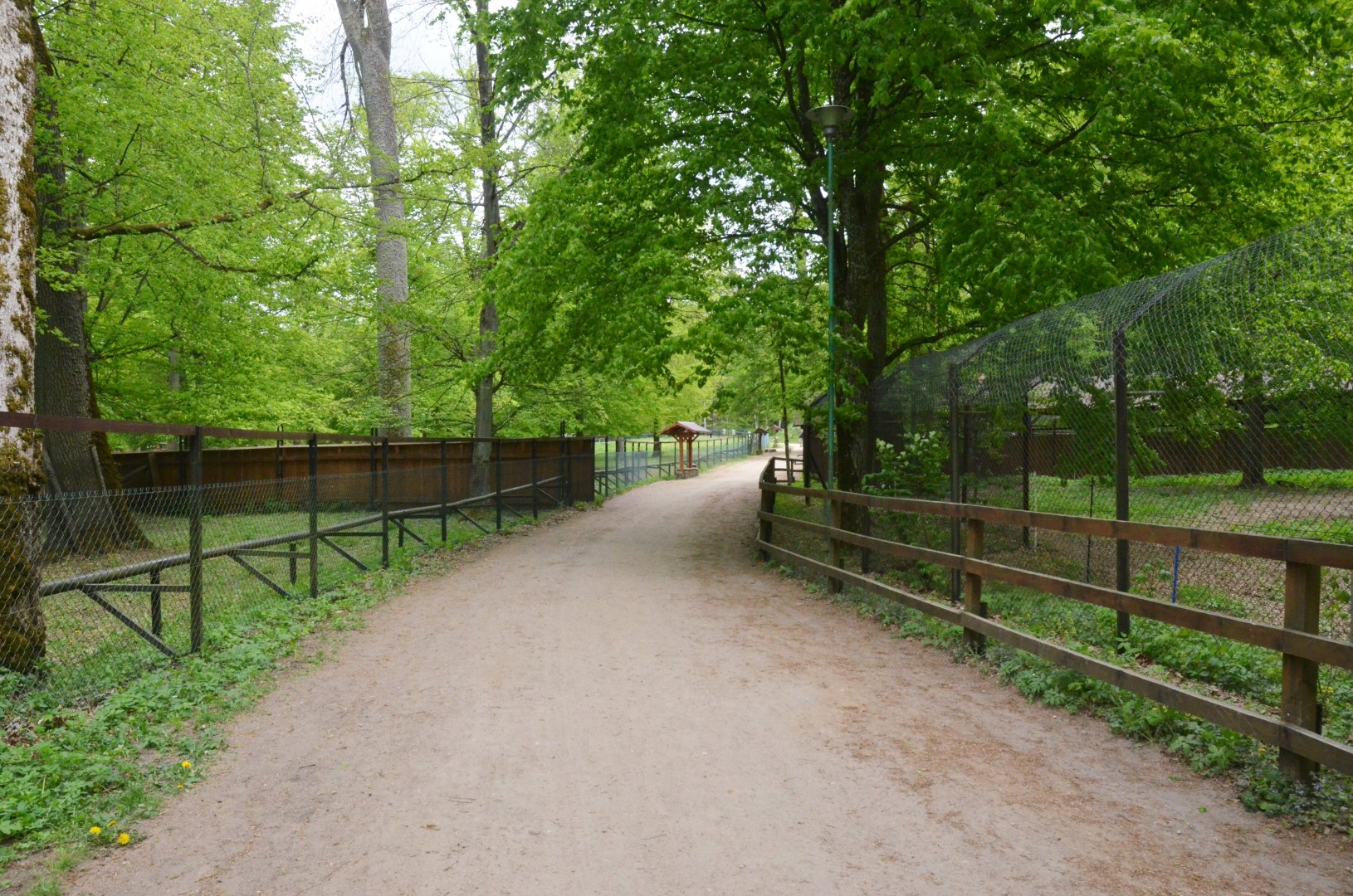 General View at Rezerwat Pokazowy Żubrów, Białowieża 07/05/19