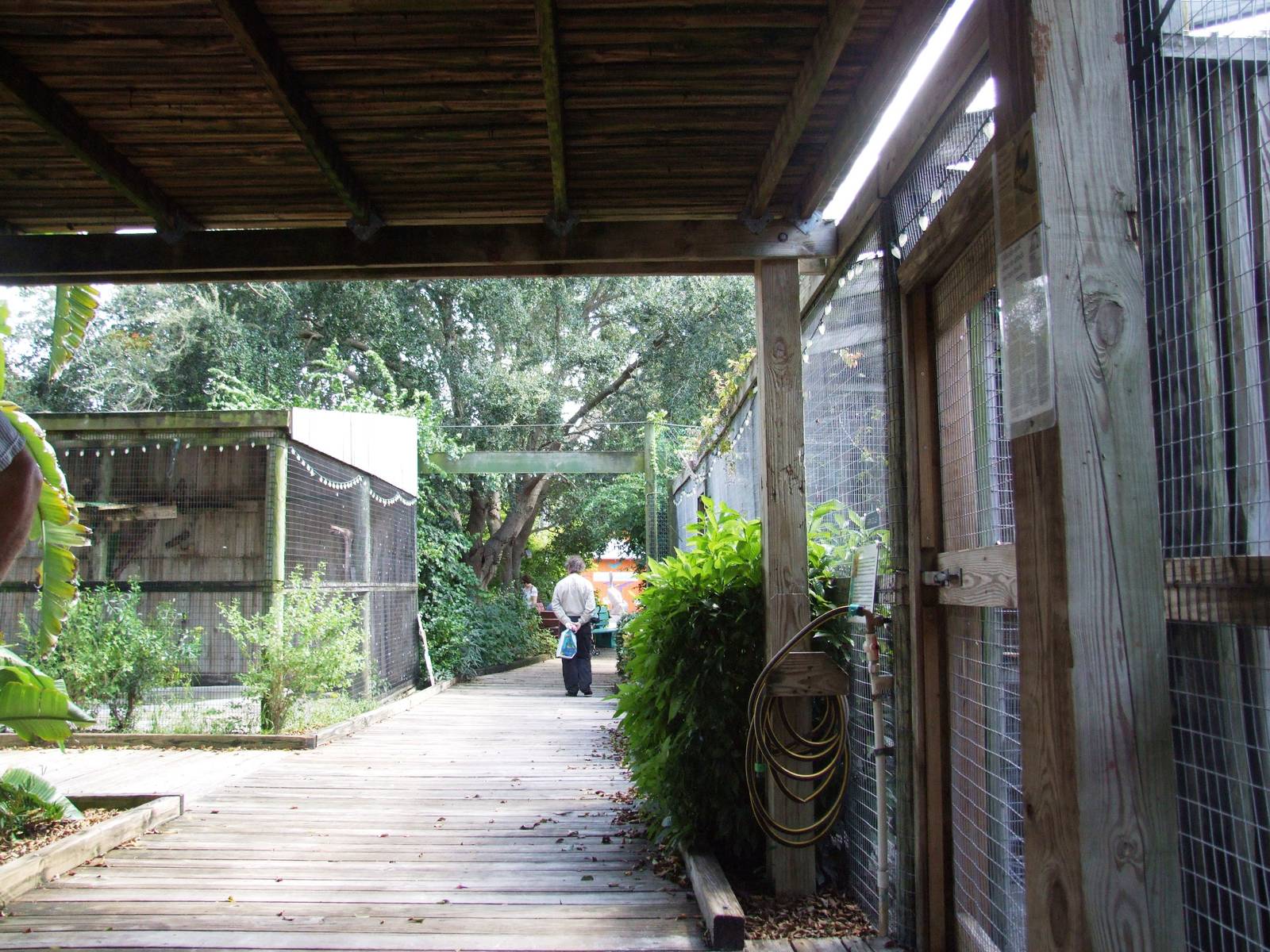 General View at Save our Seabirds, 07/10/13