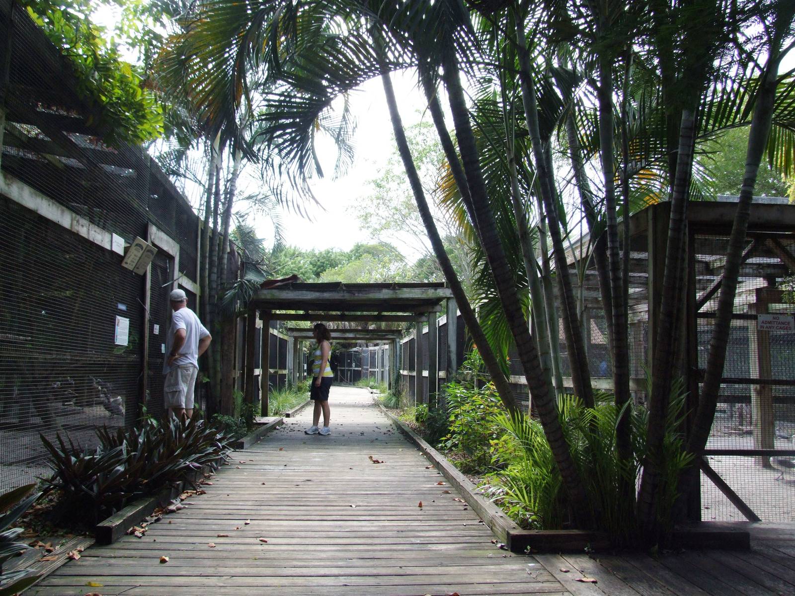 General View at Save our Seabirds, 07/10/13