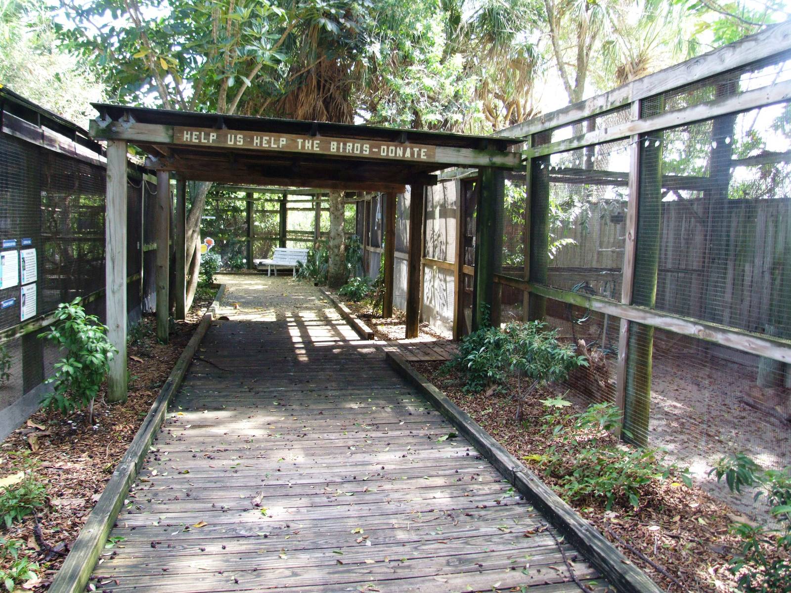 General View at Save our Seabirds, 07/10/13