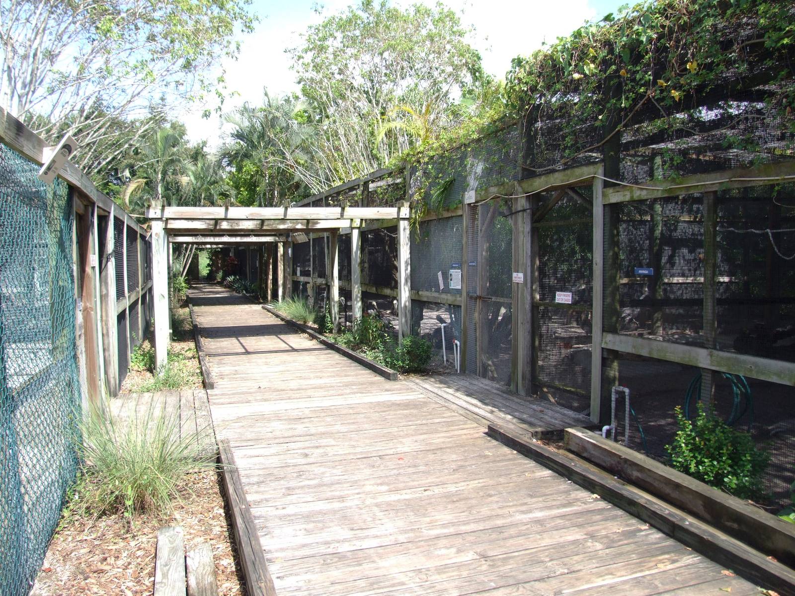 General View at Save our Seabirds, 07/10/13