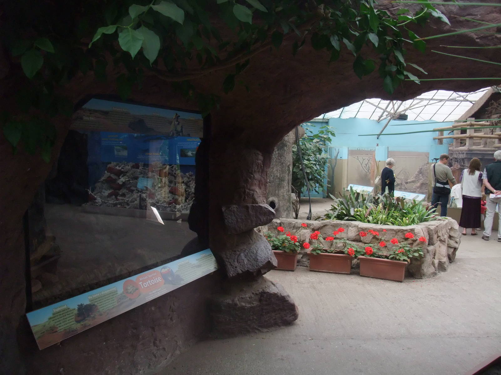 General view at the Palms: Final Visit, 08/08/10