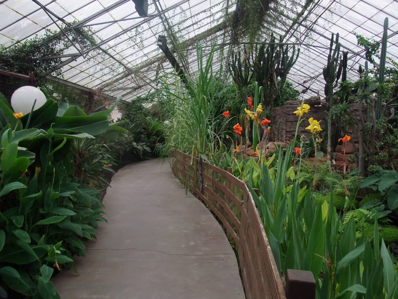 General View at the Palms: Final Visit, 08/08/10