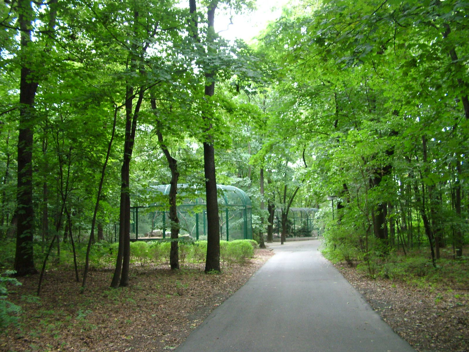 General View at Tierpark Berlin, 30/08/11
