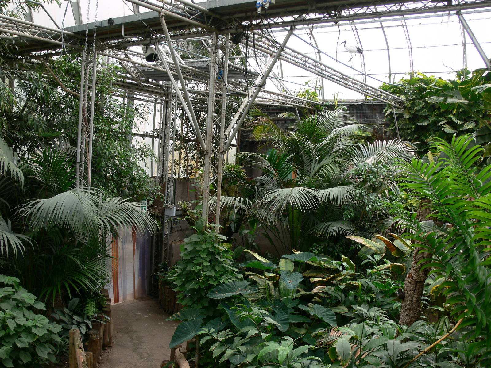 General view at Tropical World, 30/06/13