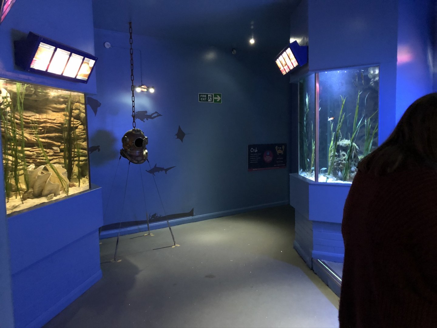 General View at Tynemouth Aquarium (2019)